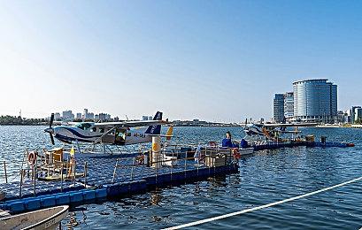 《中世纪王朝》——新一代主机平台10.6迎来中世纪生活