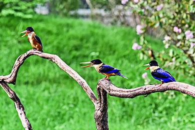 《我的世界》中国版RTX正式版上线 新增3张国风RTX地图